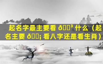 起名字最主要看 🐳 什么（起名主要 🐡 看八字还是看生肖）